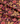 Tafelkleed Spiced Petals