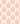 Elegant bloemmotief met delicate roze en gouden bloemen en bladeren tegen een zachte pastelkleurige achtergrond, waardoor een vintage-geïnspireerd behangontwerp ontstaat met superieure absorptie met de Keukendoek Wild Bloss van Bubble & Blend.