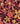 Badmat Spiced Petals