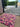 Droogloopmat vooraanzicht burgundy met herfstbloemen
