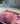 Kookplaat beschermer Marble Purple